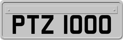 PTZ1000