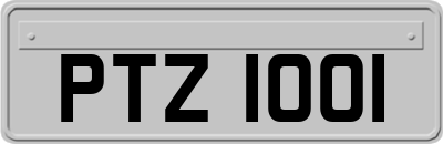 PTZ1001