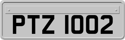 PTZ1002