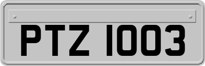 PTZ1003