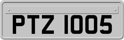 PTZ1005