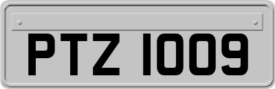 PTZ1009