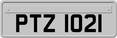 PTZ1021