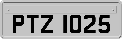 PTZ1025