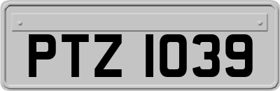 PTZ1039