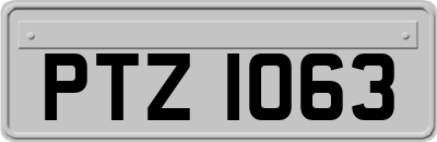 PTZ1063