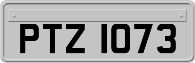 PTZ1073