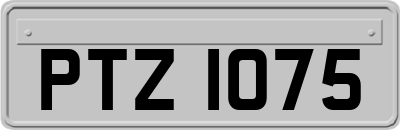 PTZ1075