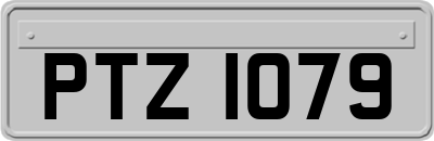 PTZ1079