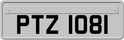 PTZ1081