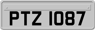 PTZ1087