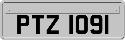 PTZ1091