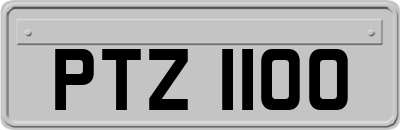 PTZ1100