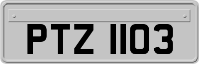 PTZ1103