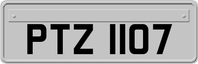 PTZ1107
