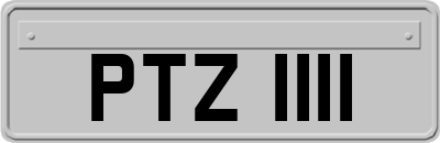 PTZ1111
