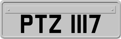 PTZ1117