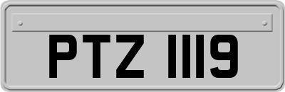 PTZ1119