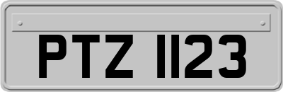 PTZ1123