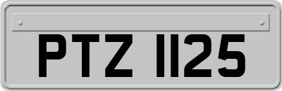 PTZ1125