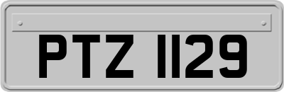 PTZ1129