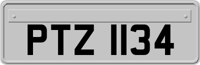 PTZ1134