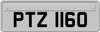 PTZ1160