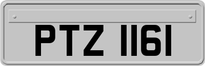 PTZ1161
