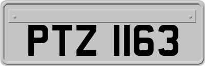 PTZ1163