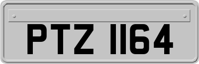 PTZ1164