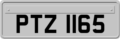 PTZ1165