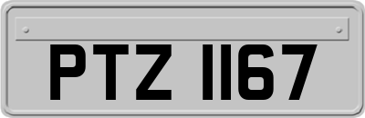 PTZ1167