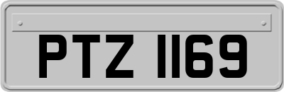 PTZ1169