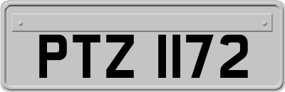 PTZ1172