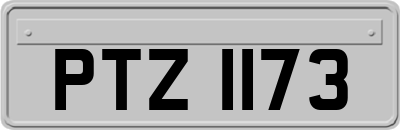 PTZ1173