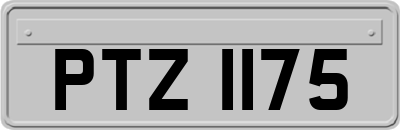 PTZ1175