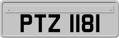 PTZ1181