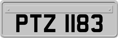 PTZ1183
