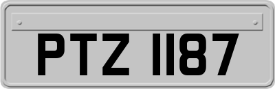 PTZ1187