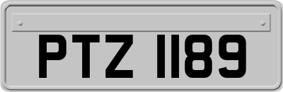 PTZ1189