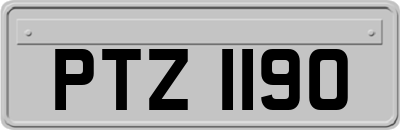 PTZ1190