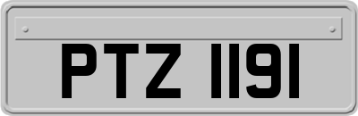 PTZ1191