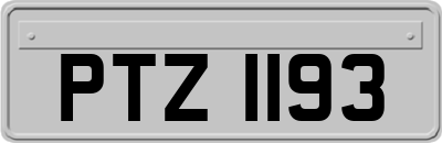 PTZ1193