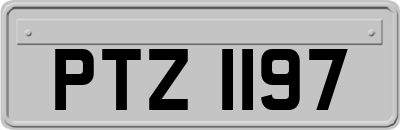 PTZ1197