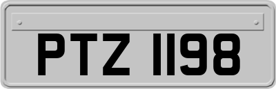 PTZ1198
