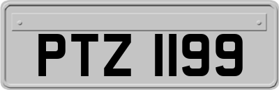 PTZ1199