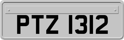 PTZ1312