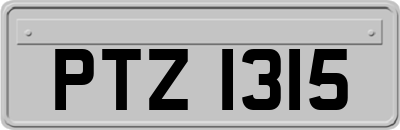 PTZ1315