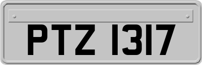 PTZ1317