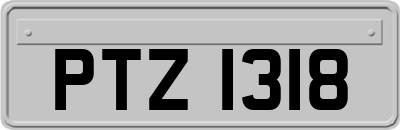 PTZ1318
